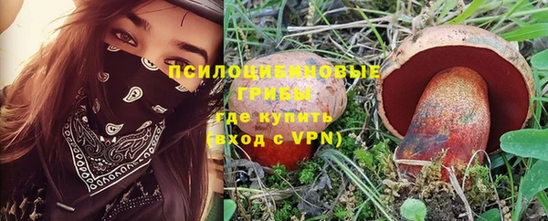 ГАЛЛЮЦИНОГЕННЫЕ ГРИБЫ Нефтегорск