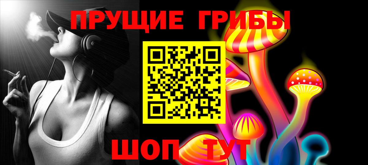 Ревда  Псилоцибиновые грибы Psilocybine cubensis  Вход с VPN 