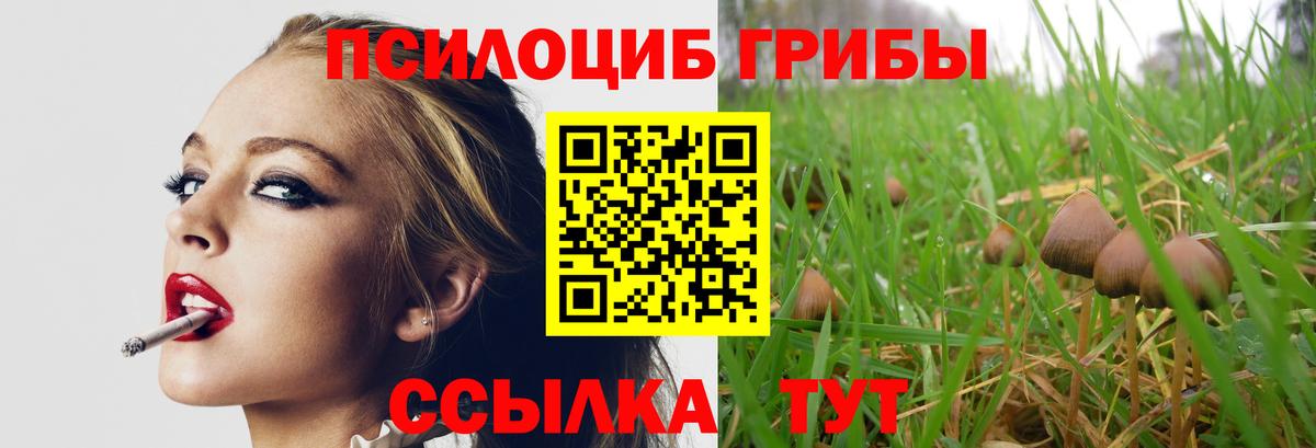 Псилоцибиновые грибы Psilocybine cubensis Ревда